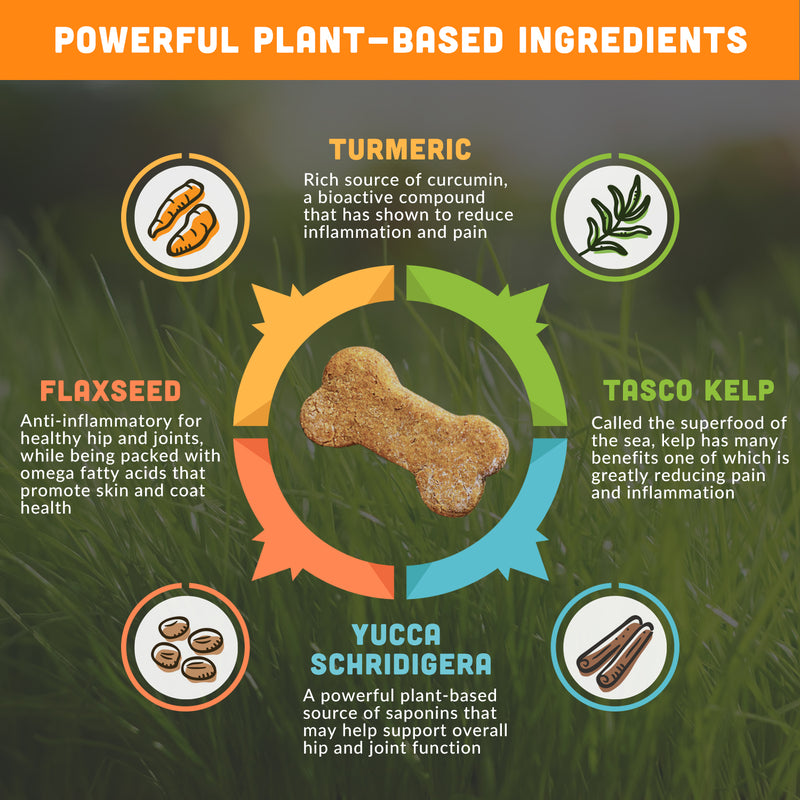Mobility Superchew for Dogs | Mighty Tails