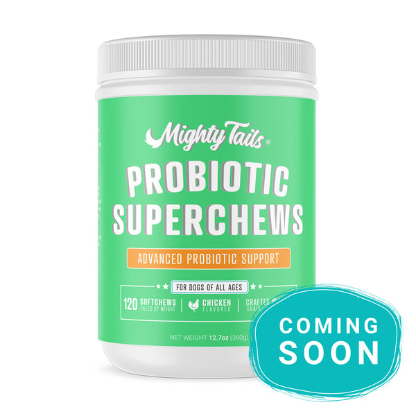 Probiotic Superchew for Dogs